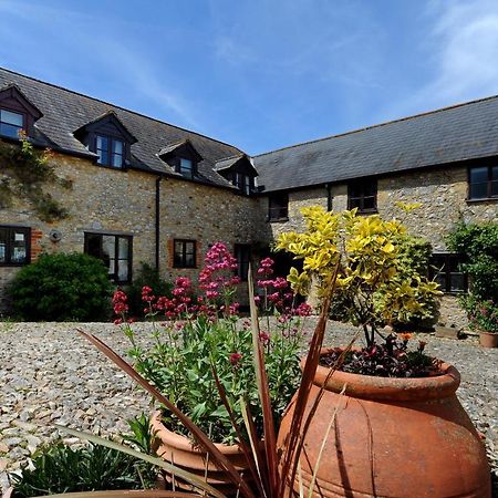 Rose Cottage Musbury 外观 照片