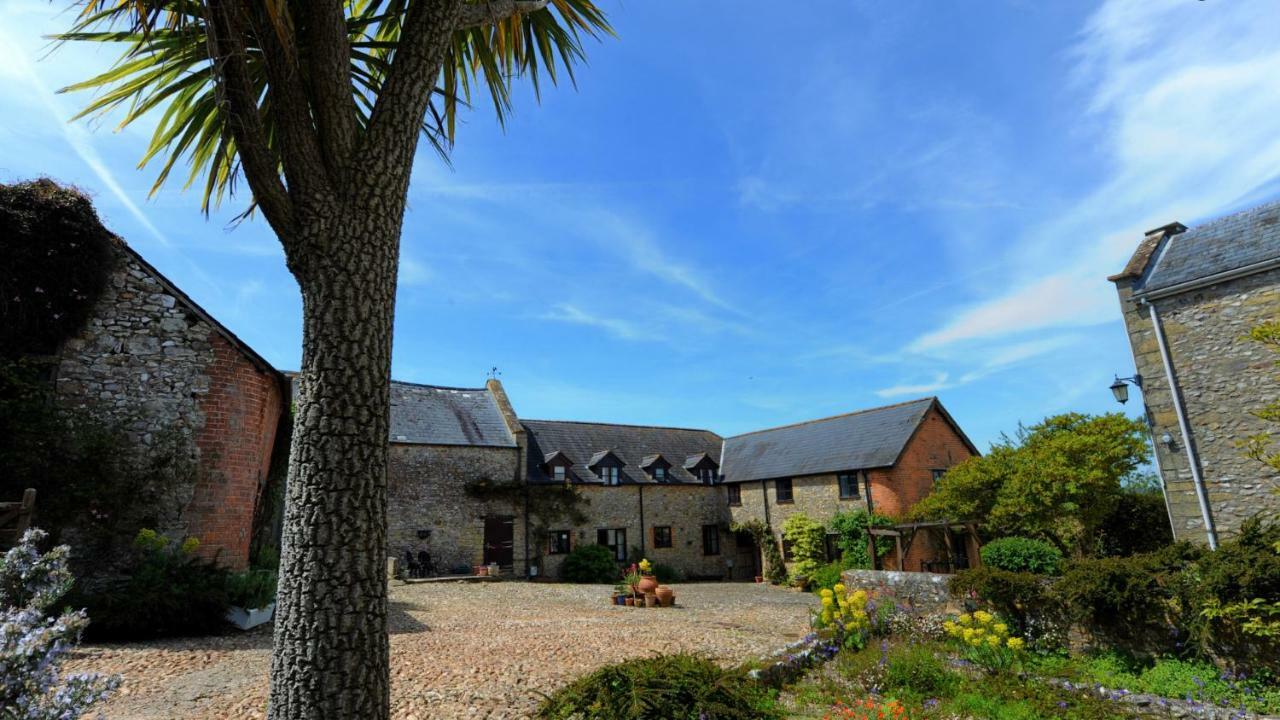 Rose Cottage Musbury 外观 照片